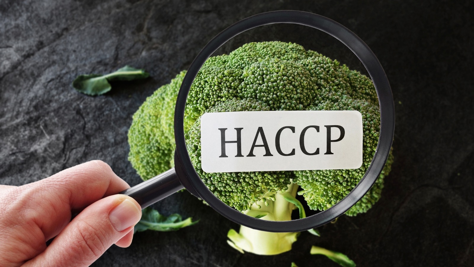 HACCP